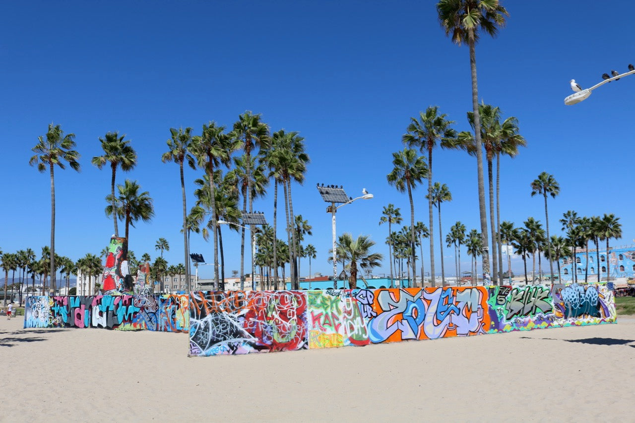 Story Behind the “Shoreline" Print